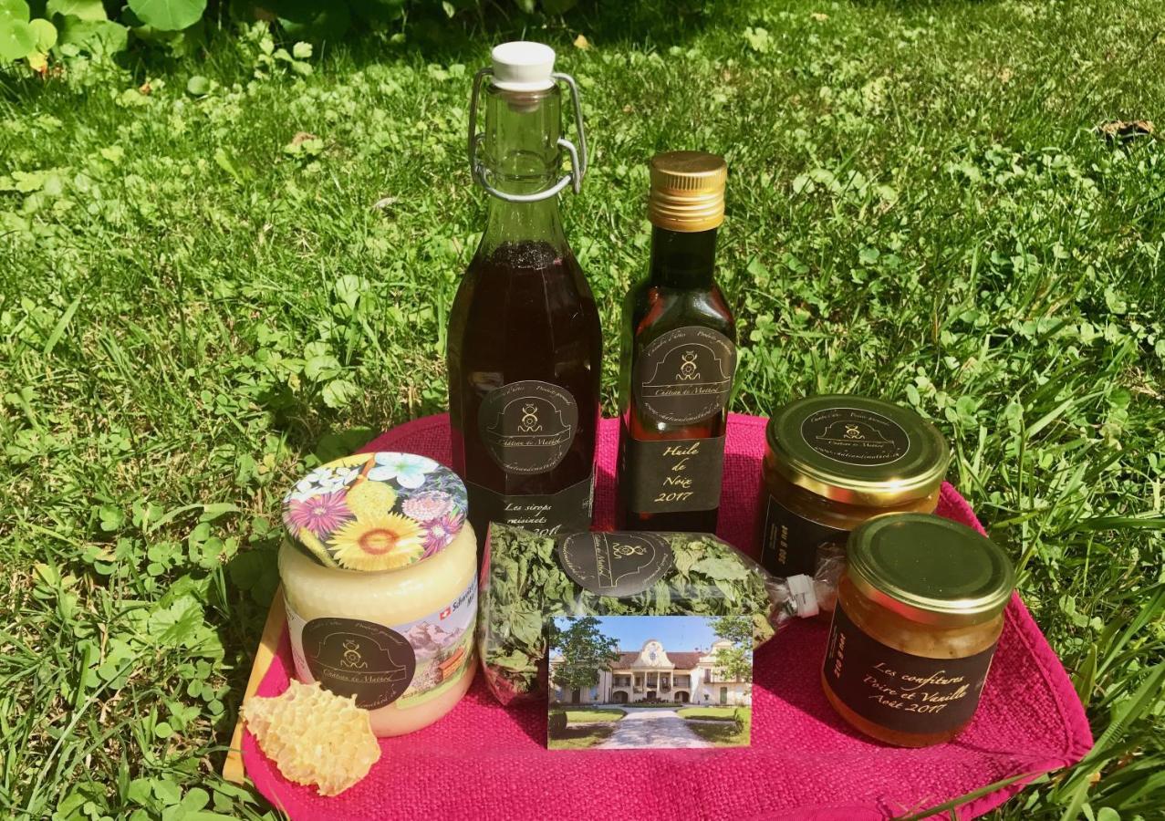 Chateau De Mathod Chambres D'Hotes エクステリア 写真