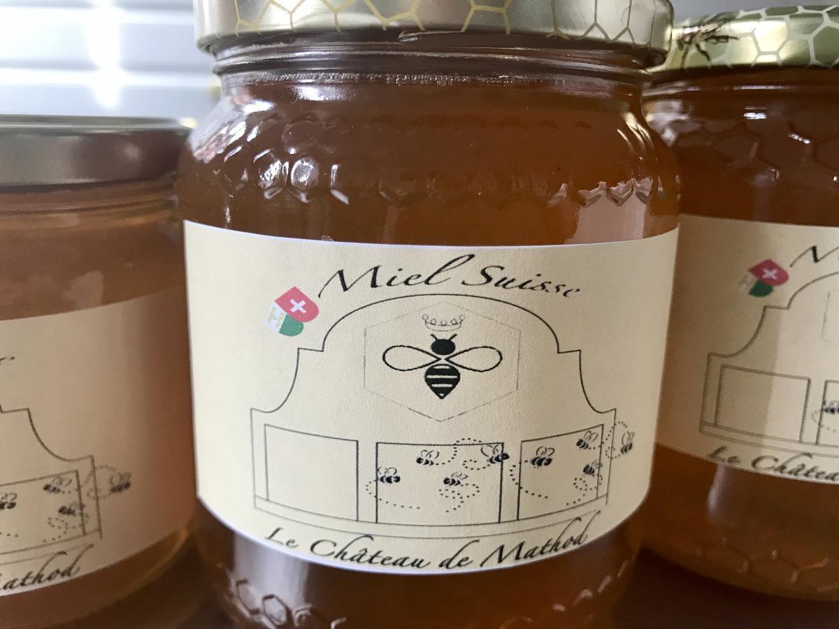 Chateau De Mathod Chambres D'Hotes エクステリア 写真
